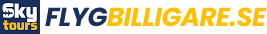 flygbilligare